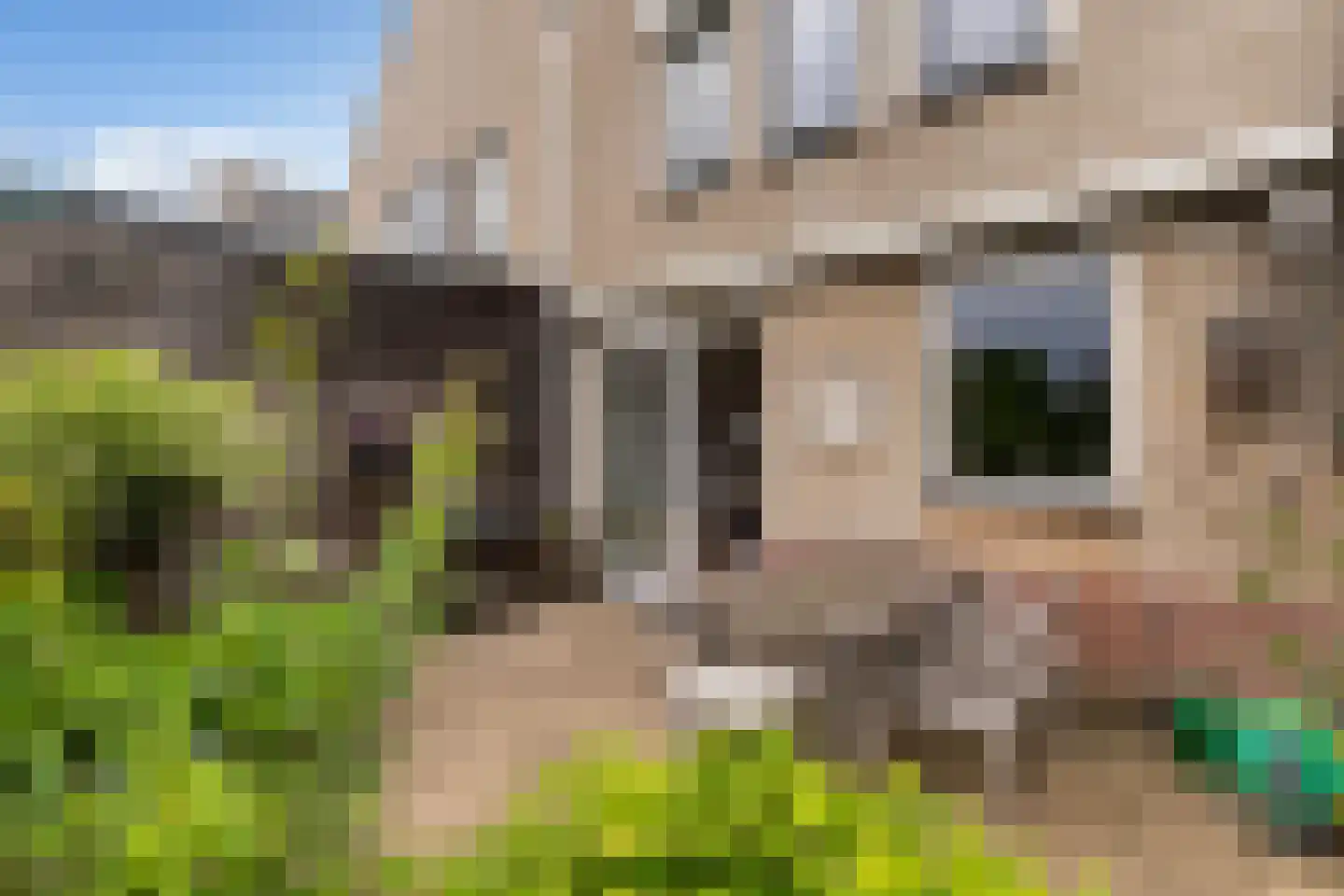 Rijnse Gulden 11 Dronten thumbnail 26