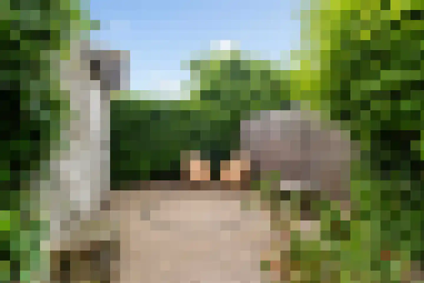 Rijnse Gulden 11 Dronten thumbnail 28