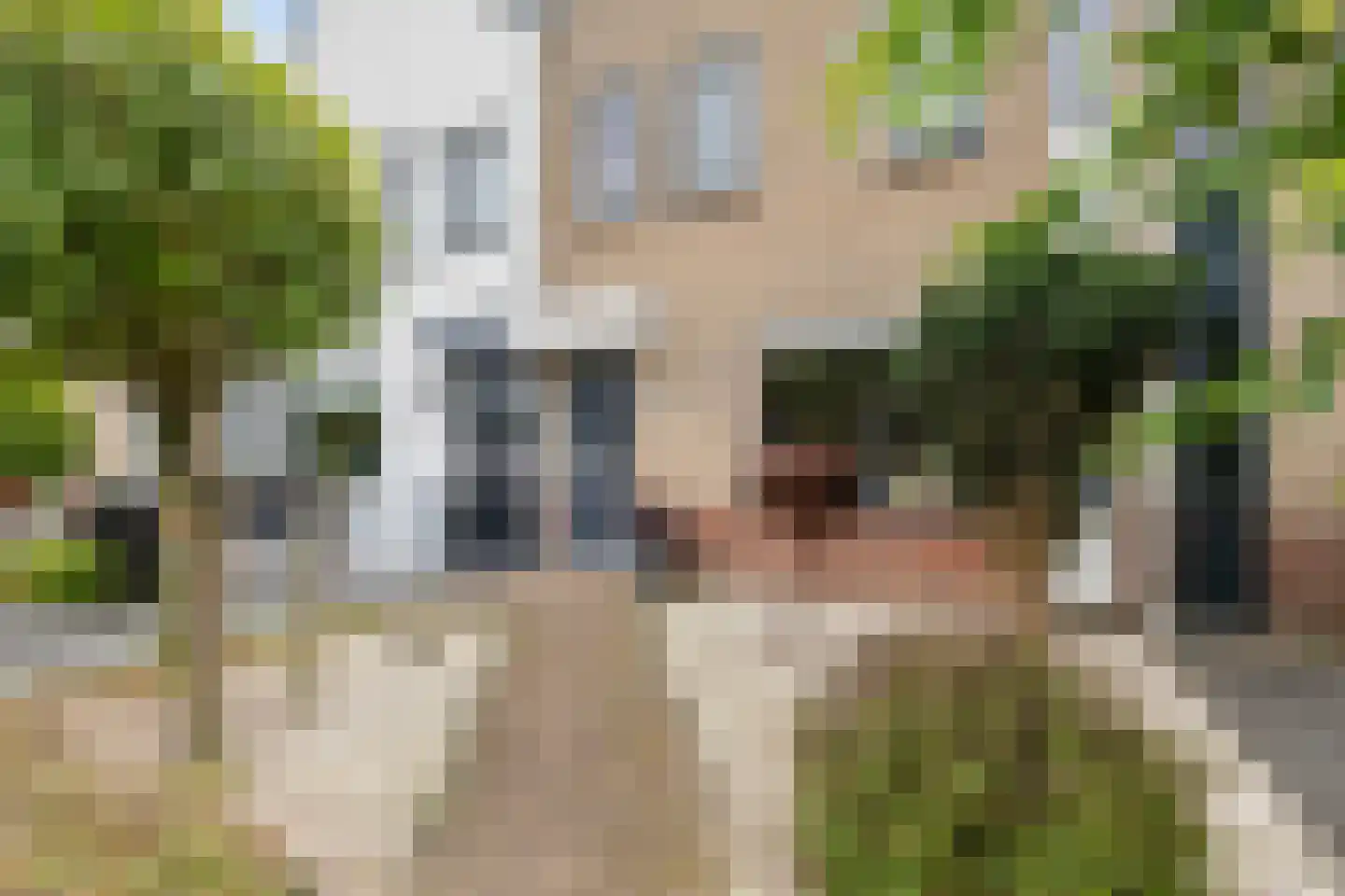 Rijnse Gulden 11 Dronten thumbnail 7
