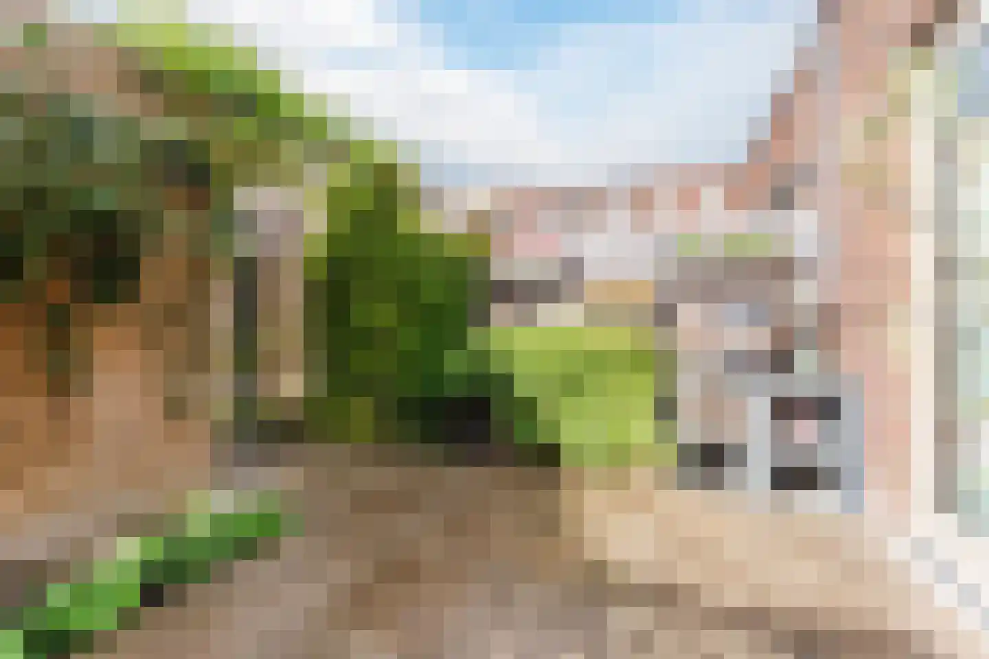 Rijnseguldenhof 5 Utrecht thumbnail 12