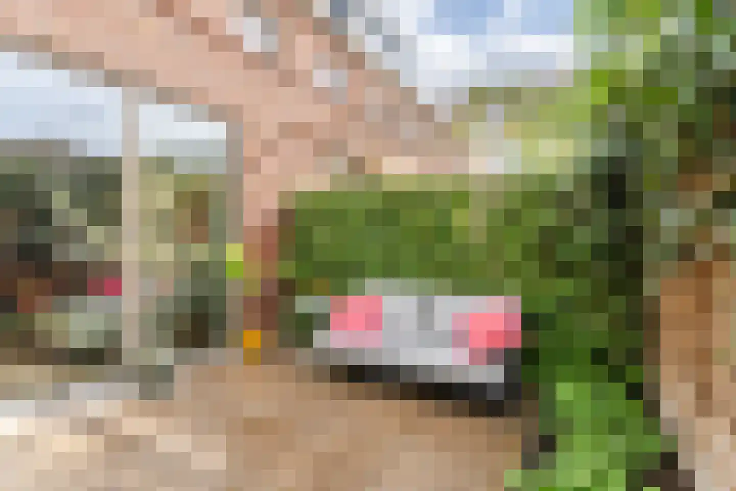 Rijnseguldenhof 5 Utrecht thumbnail 18