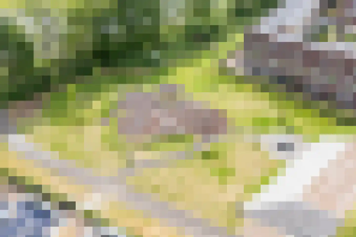 Rijnseguldenhof 5 Utrecht thumbnail 65