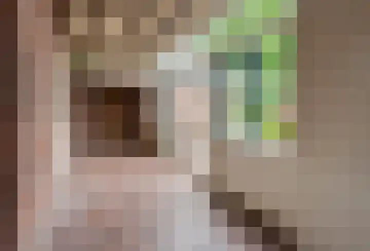 Rijnseweg 8 Odijk thumbnail 18