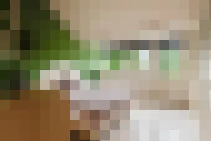 Rijnseweg 8 Odijk thumbnail 22