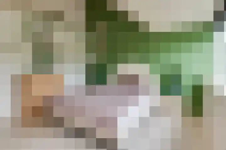Rijnseweg 8 Odijk thumbnail 23