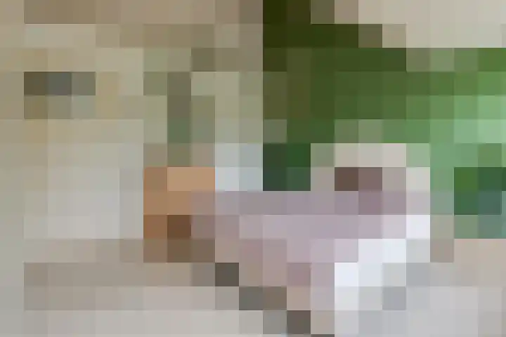 Rijnseweg 8 Odijk thumbnail 24