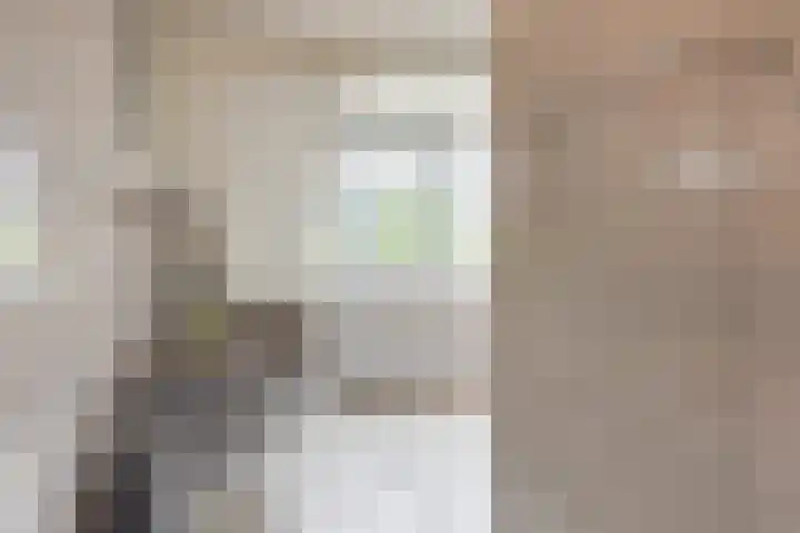 Rijnseweg 8 Odijk thumbnail 25