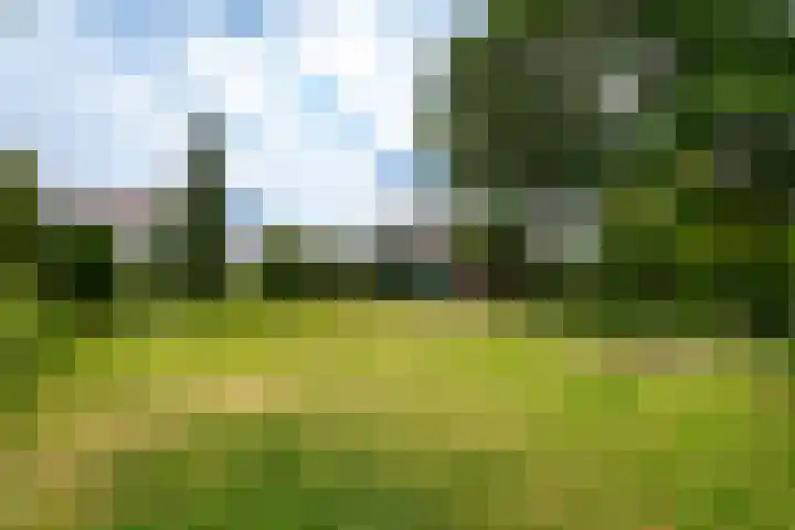 Rijnseweg 8 Odijk thumbnail 36