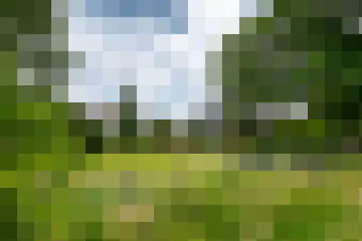 Rijnseweg 8 Odijk thumbnail 37