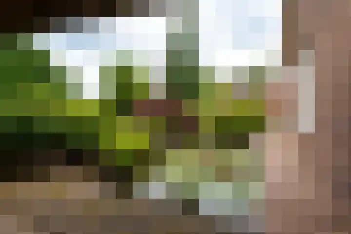 Rijnseweg 8 Odijk thumbnail 38