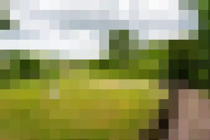 Rijnseweg 8 Odijk thumbnail 39