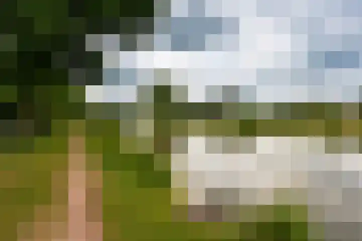 Rijnseweg 8 Odijk thumbnail 4
