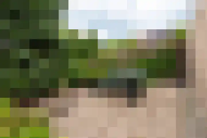Rijnseweg 8 Odijk thumbnail 41