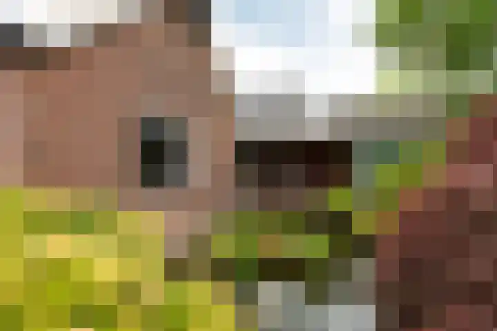 Rijnseweg 8 Odijk thumbnail 42