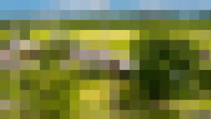 Rijnseweg 8 Odijk thumbnail 46