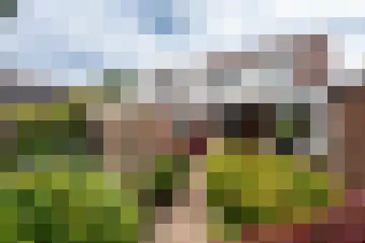 Rijnseweg 8 Odijk thumbnail 6