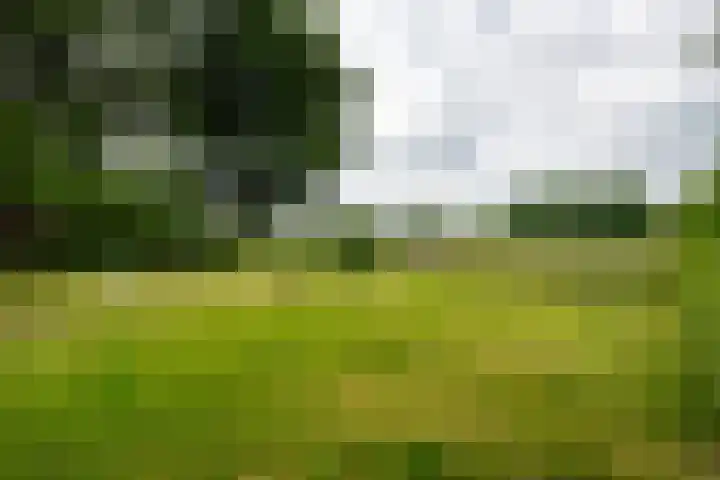 Rijnseweg 8 Odijk thumbnail 7
