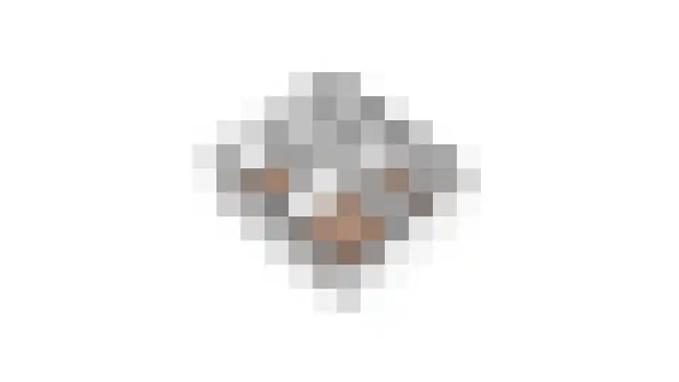 Rijnskamp 18 Rolde thumbnail 29