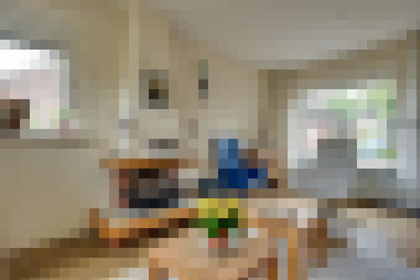 Rijnskamp 18 Rolde thumbnail 5