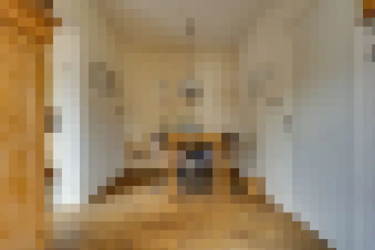 Rijnskamp 18 Rolde thumbnail 6
