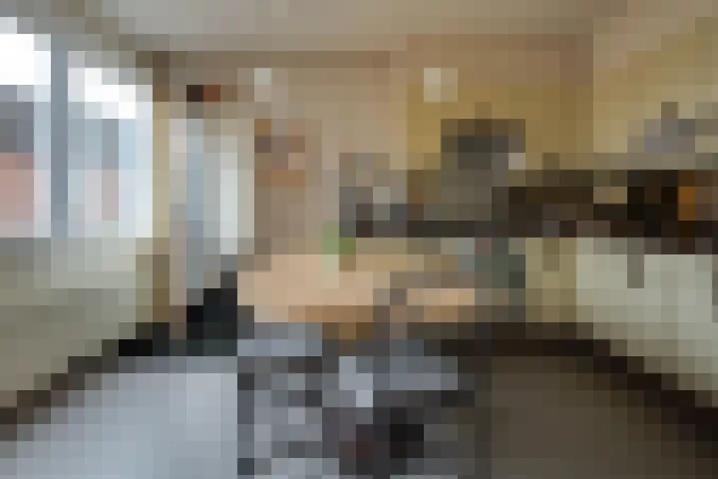 Rijnskamp 18 Rolde thumbnail 8