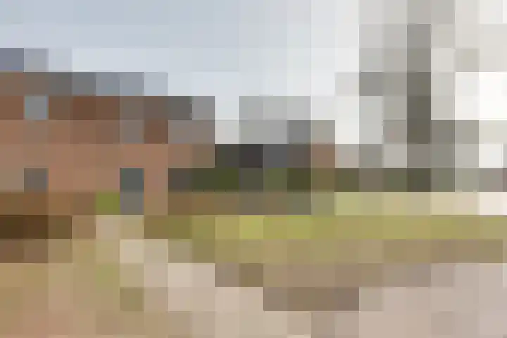 Rijnskamp 3 c Rolde