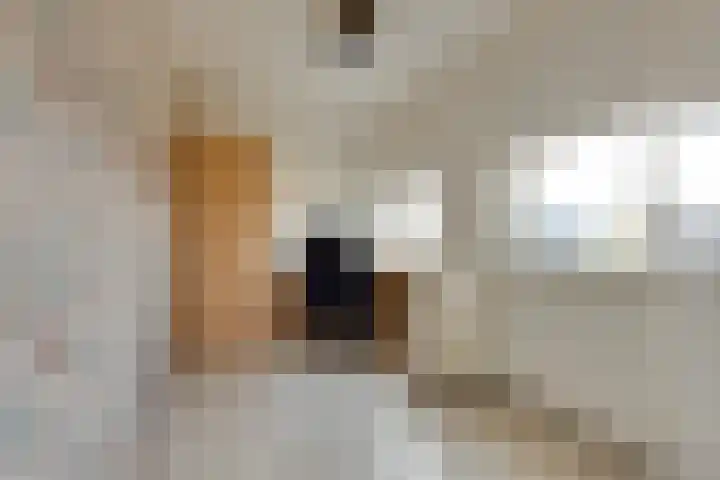 Rijnskamp 3 c Rolde thumbnail 15