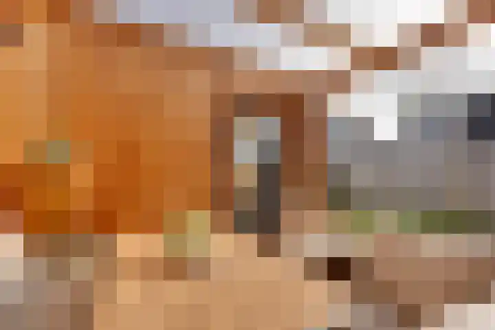 Rijnskamp 3 c Rolde thumbnail 18