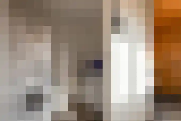 Rijnskamp 3 c Rolde thumbnail 19