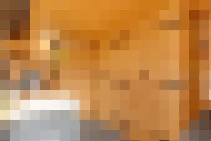 Rijnskamp 3 c Rolde thumbnail 20