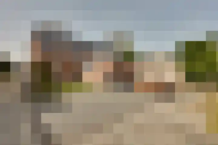 Rijnskamp 3 c Rolde thumbnail 23