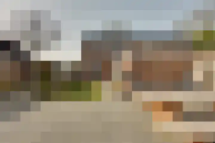 Rijnskamp 3 c Rolde thumbnail 24