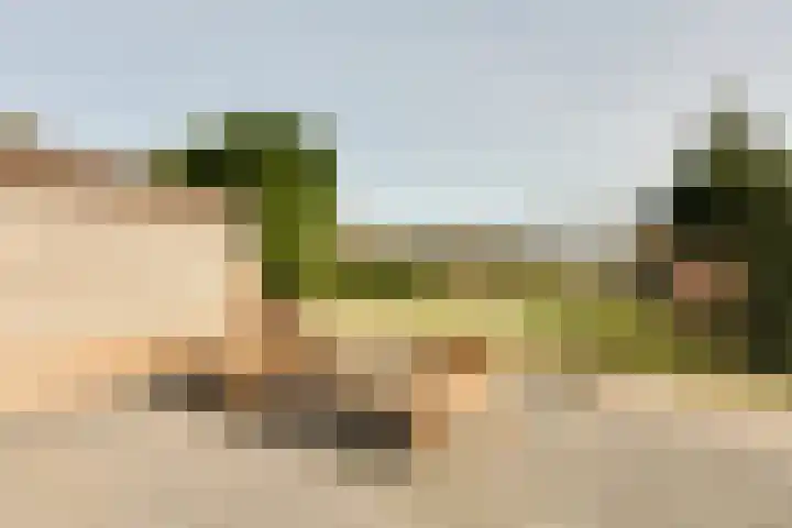 Rijnskamp 3 c Rolde thumbnail 25