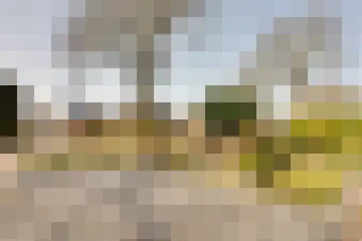 Rijnskamp 3 c Rolde thumbnail 26