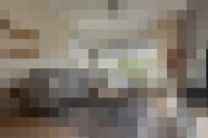 Rijnskamp 3 c Rolde thumbnail 4