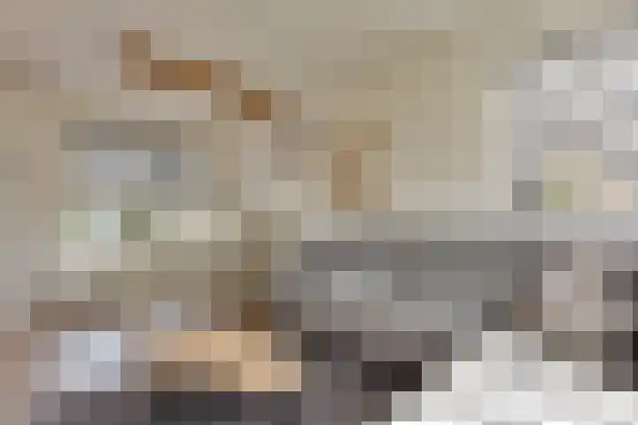 Rijnskamp 3 c Rolde thumbnail 5