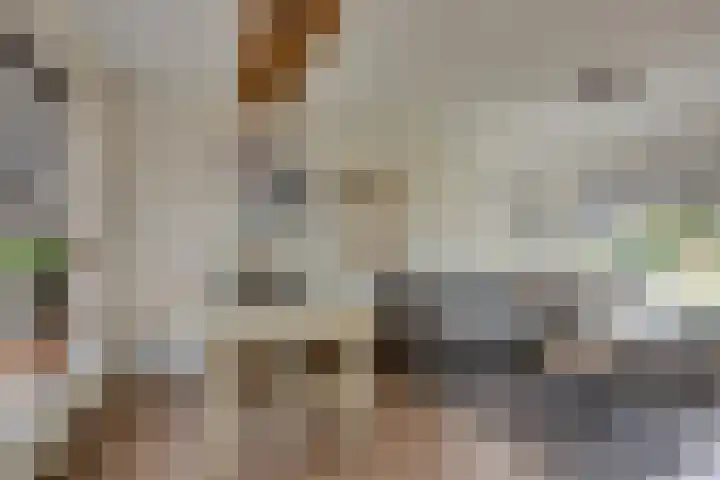 Rijnskamp 3 c Rolde thumbnail 6