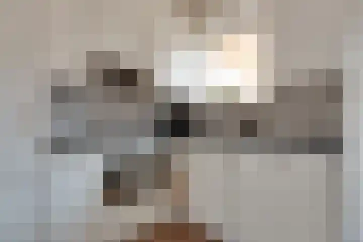 Rijnskamp 3 c Rolde thumbnail 9
