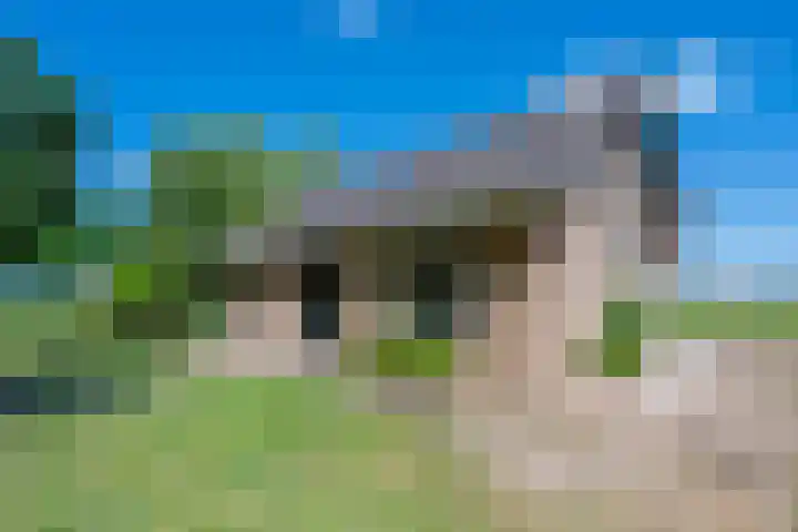 Rijnsoever 1 D Zeist thumbnail 11