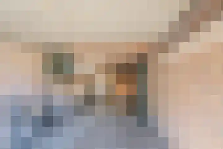 Rijnsoever 1 D Zeist thumbnail 14