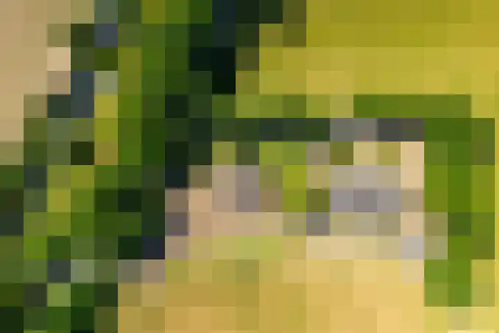 Rijnsoever 1 D Zeist thumbnail 16