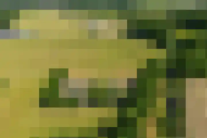 Rijnsoever 1 D Zeist thumbnail 19
