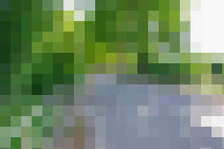Rijnsoever 1 D Zeist thumbnail 21