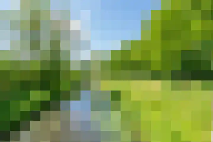 Rijnsoever 1 D Zeist thumbnail 22