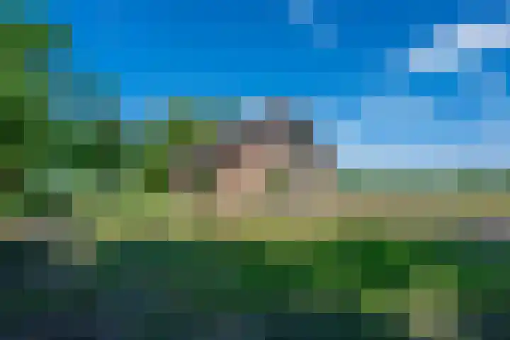 Rijnsoever 1 D Zeist thumbnail 33