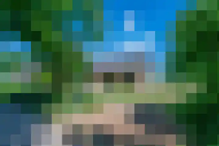 Rijnsoever 1 D Zeist thumbnail 4
