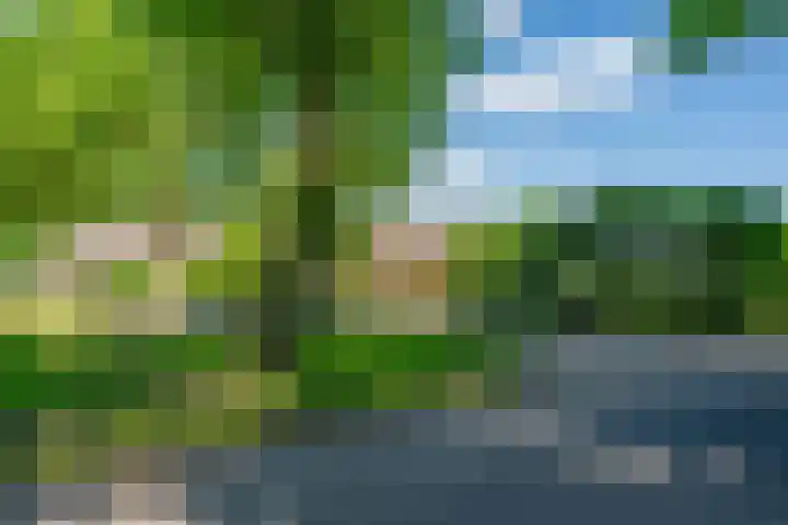 Rijnsoever 1 D Zeist thumbnail 5