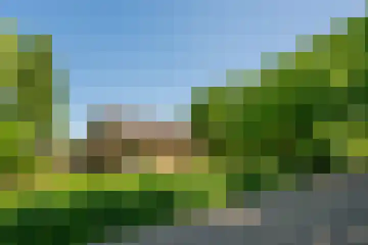 Rijnsoever 1 D Zeist thumbnail 7