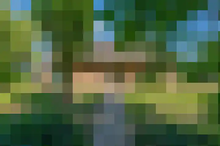 Rijnsoever 1 D Zeist thumbnail 8