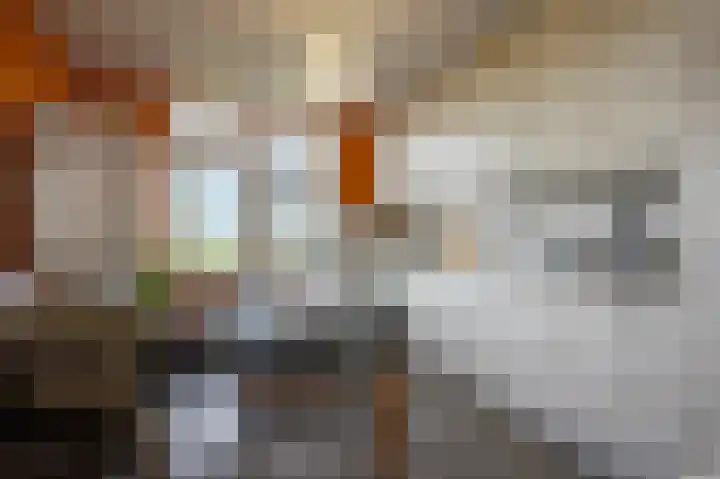 Rijnsoever 18 Utrecht thumbnail 13